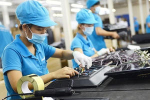 Đăng ký doanh nghiệp tháng 1 có nhiều khởi sắc