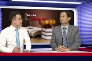 Doanh nghiệp nước ngoài đầu tư, mua bán, sát nhập vào doanh nghiệp Việt Nam: Thực tiễn áp dụng