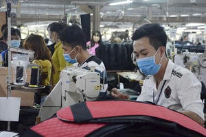 UBND tỉnh Bà Rịa - Vũng Tàu làm việc với Hiệp hội Thông tin - Tư vấn kinh tế thương mại Việt Nam