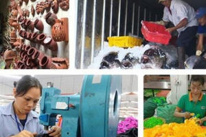 Người lao động khóc ròng vì Covid-19