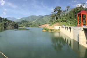 Lợi nhuận Đạt Phương “dềnh” lên theo dòng nước lớn, cổ phiếu lập đỉnh mới