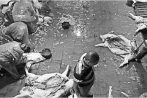 Cảnh giác với bì lợn được “hô biến” thành các món khoái khẩu