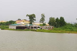 Thường Tín, Hà Nội: Đã hết hạn thuê đất công ích, UBND xã Hòa Bình vẫn “cho” tiếp tục sử dụng? Thường Tín, Hà Nội: Đã hết hạn thuê đất công ích, UBND xã Hòa Bình vẫn “cho” tiếp tục sử dụng?