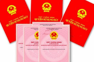 Bà Rịa - Vũng Tàu tạm dừng chuyển nhượng sổ đồng sở hữu trên địa bàn