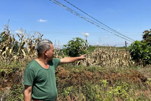 Câu chuyện buồn của một cựu chiến binh 24 năm đi tìm công lý