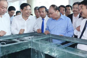 Thủ tướng Nguyễn Xuân Phúc: Việt Nam phấn đấu trở thành một công xưởng sản xuất tôm của thế giới