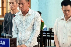 Gia Lai: Xét xử 3 đối tượng vì liên tiếp gây ra 9 vụ trộm cắp trâu, bò trên địa bàn