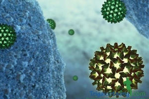 Cảnh giác vi rút nguy hiểm gây ra cái chết 1,4 triệu người mỗi năm