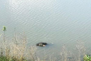 Phát hiện 3 thi thể nổi trên nhánh sông Tiền