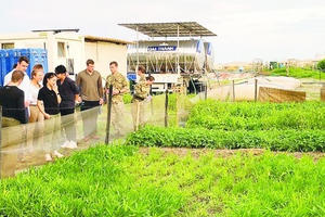 Trồng rau ở châu Phi, bộ đội Việt Nam khiến bạn bè quốc tế nể phục Trồng rau ở châu Phi, bộ đội Việt Nam khiến bạn bè quốc tế nể phục