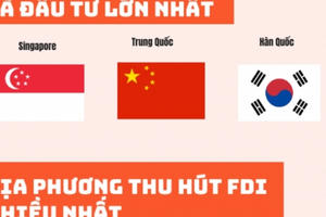 Nét nổi bật trên bức tranh FDI 9 tháng năm 2020