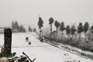 Kinh nghiệm lái xe đường băng tuyết ở Việt Nam