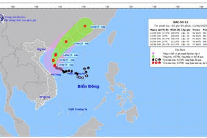 Bão số 1 giật cấp 13, gây sóng cao 6 mét và mưa lớn diện rộng