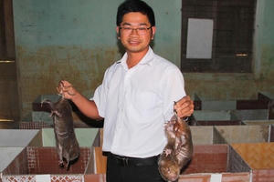 Phất lên nhờ… “Tý”