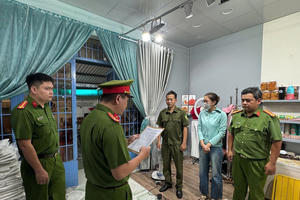 Bán hàng trên mạng được 27 tỷ đồng nhưng không khai thuế, một phụ nữ bị khởi tố