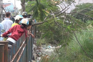 TP HCM: Phát hiện thi thể trẻ sơ sinh ven đường