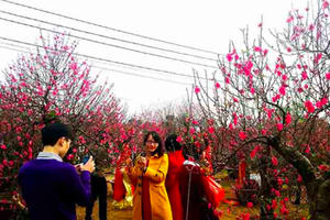 Thông tin thời tiết của nhiều khu vực trong 5 ngày Tết nguyên đán Giáp Thìn