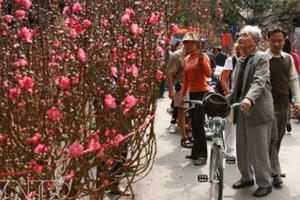 Tết là để trở về Tết là để trở về