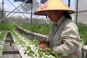 Tạo đột phá để nông nghiệp Thủ đô tăng trưởng trên 4% năm 2021 Tạo đột phá để nông nghiệp Thủ đô tăng trưởng trên 4% năm 2021