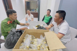 Bắt nhóm đối tượng mua chuối, cau trên mạng rồi "phù phép" thành cổ vật để lừa đảo