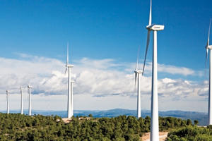 Điện gió Bắc Phương bị xử phạt