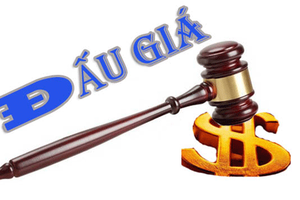 Sửa quy định bán đấu giá tài sản thi hành án