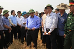 Phó Thủ tướng Nguyễn Xuân Phúc: Không để dân đói, khát do nắng hạn