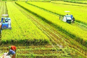 Người nông dân tương lai