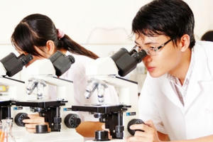 TP HCM bổ sung chính sách thu hút nhân tài