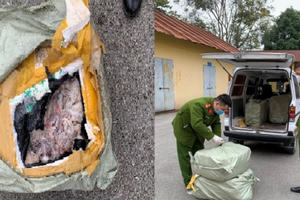 Lạng Sơn: Thu giữ 600kg nầm lợn đang trong quá trình phân hủy, bốc mùi hôi thối Lạng Sơn: Thu giữ 600kg nầm lợn đang trong quá trình phân hủy, bốc mùi hôi thối