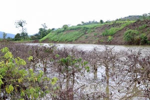 Công trình thủy điện chậm xử lý các vấn đề phát sinh khiến người dân bức xúc Công trình thủy điện chậm xử lý các vấn đề phát sinh khiến người dân bức xúc