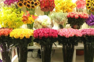 Mẹo giữ hoa tươi lâu dịp Tết