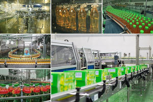 2 trụ cột tạo nên giá trị đột phá của Trà Xanh Không Độ