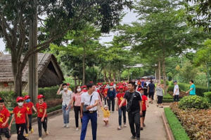 Nghệ An: Cấm tổ chức dạy thêm, học thêm dưới mọi hình thức trong dịp hè