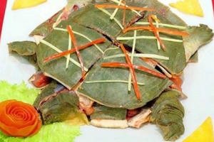 Thịt ba ba: Vị thuốc “quý” ít ai ngờ tới