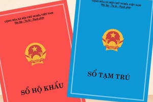 Những trường hợp công dân bị thu hồi sổ hộ khẩu giấy