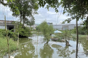 Tình cảnh trớ trêu khi phải xuất ngân sách để giải quyết tranh chấp