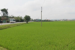 3 tỷ đồng không mua nổi lô đất ở quê: Mức đấu giá cao gấp 130 lần đền bù