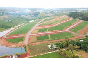 Chặn phân lô bán nền tràn lan, Lâm Đồng ra quy định mới về tách thửa đất