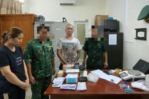 Hải Phòng:  Triệt phá đường dây mua bán ma túy từ nội địa, thu giữ 70,28g ma túy