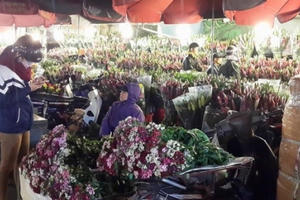 Chợ hoa đêm Quảng An: Rực rỡ và nhộn nhịp ngày giáp tết