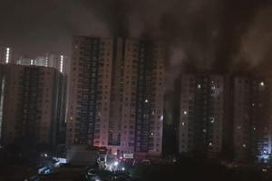 Khởi tố, bắt giam chủ đầu tư chung cư Carina trong vụ cháy khiến 13 người chết