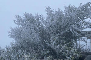 Lạng Sơn: Băng tuyết phủ trắng đỉnh Mẫu Sơn