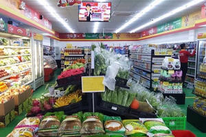 Có bao nhiêu siêu thị, cửa hàng ở Hà Nội đã nhận hàng của Công ty Thanh Nga?