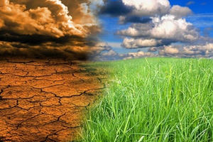 Lên kế hoạch ứng phó với biến đổi khí hậu giai đoạn 2021-2030