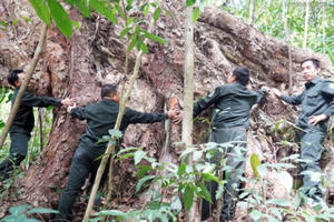 Những quy định mới có hiệu lực từ tháng 6