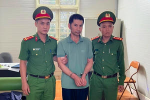 Phá rừng lấy đất sản xuất nông nghiệp, một trưởng bản ở Sơn La bị khởi tố