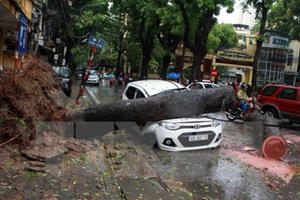 Thủ tướng Chính phủ ra công điện ứng phó với cơn bão số 2