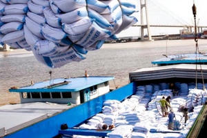 Hỗ trợ hơn 1.162 tấn gạo cho 2 tỉnh Đắk Nông và Đắk Lắk