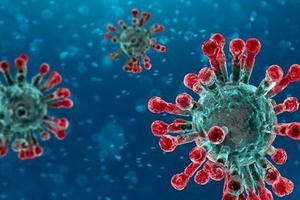 Một tài xế taxi nghi dương tính với virus corona tại Hà Nội